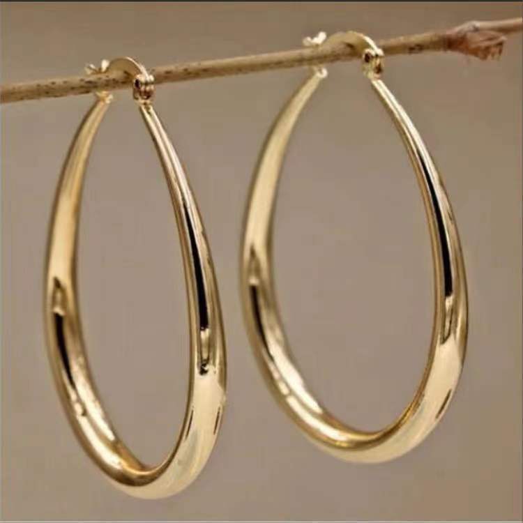 Oval Sculpted Hoop Earrings